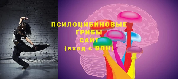 сатива Белоозёрский
