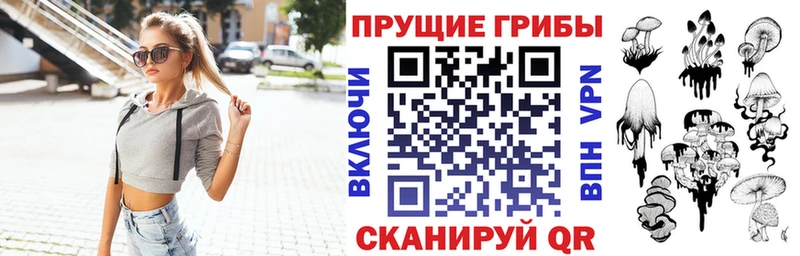 Псилоцибиновые грибы Magic Shrooms  Зеленоградск 